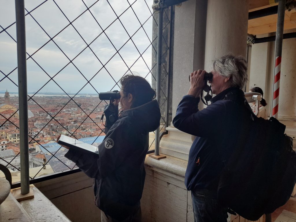 Gabbiani reali a Venezia: riprese le campagne di monitoraggio CORILA