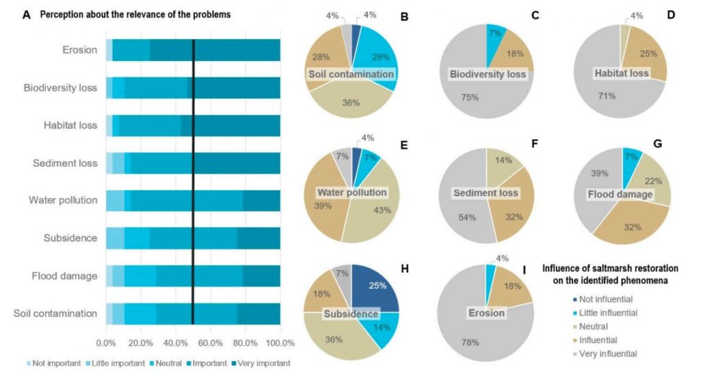 New Study Published on Developing Business Plans for the Restoration of the Venice Lagoon through Nature-Based Solutions